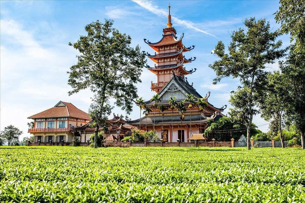 Đất view hồ Biển Hồ tổng 3sào