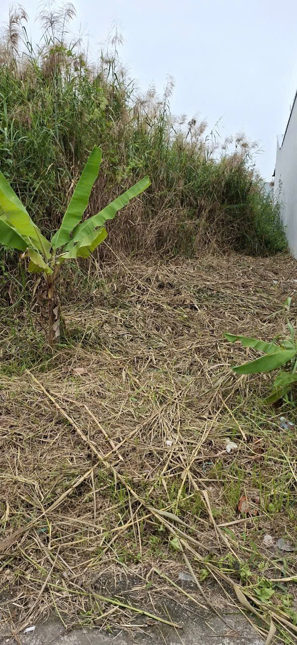 Bán đất 191.2m² ngang 5m giá 670 triệu Xã Bình An