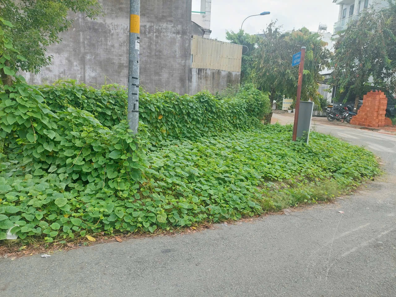 Bán đất 195m² ngang 9m giá 8.2 tỷ Xã Bình Chánh