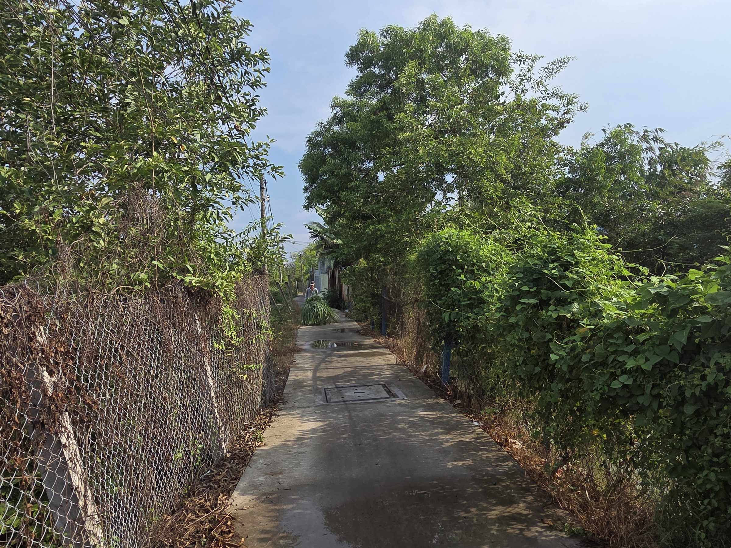 Bán đất 2000m² ngang 10m giá 30 tỷ tại Xã Bình Chánh