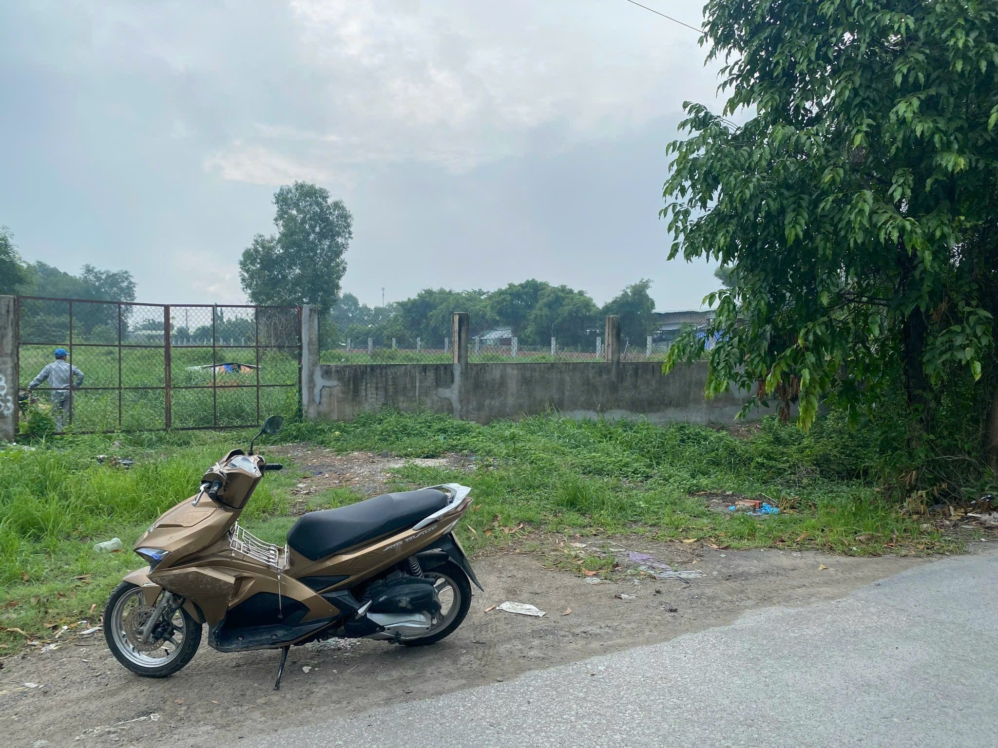 Bán đất 10900m² ngang 70m giá 77 tỷ tại Xã Bình Chánh