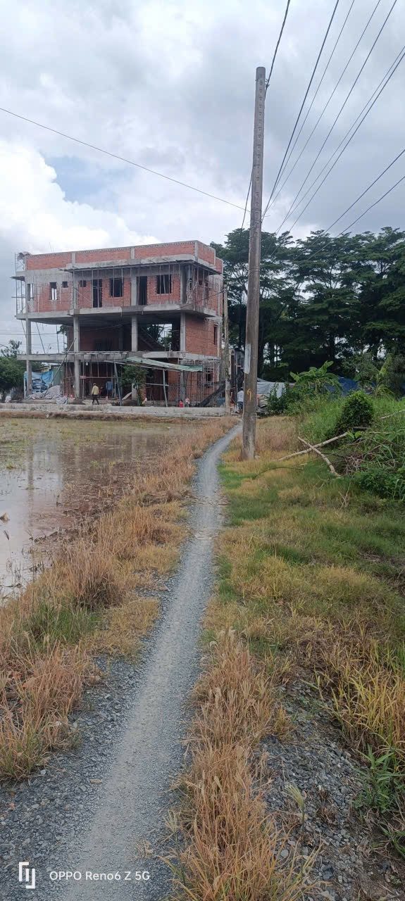Bán đất lô góc 2 mt xã bình chánh