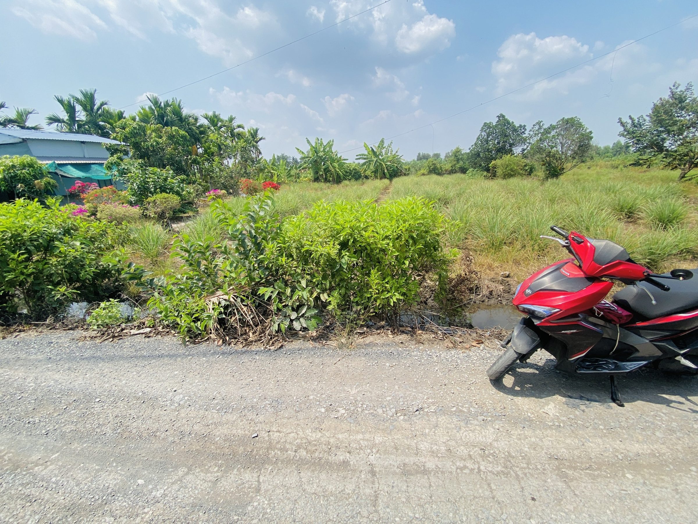 500m² đất Thổ Vườn (có sẵn 150m² thổ cư) ngang 14m Giá 1.5 tỷ - xã Bình Đức, Bến Lức, Long An