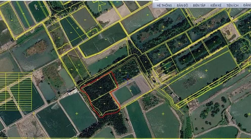 Bán Đất 4350.5m2 giá 5.6 tỷ tại Xã Bình Khánh Huyện Cần Giờ TP. Hồ Chí Minh