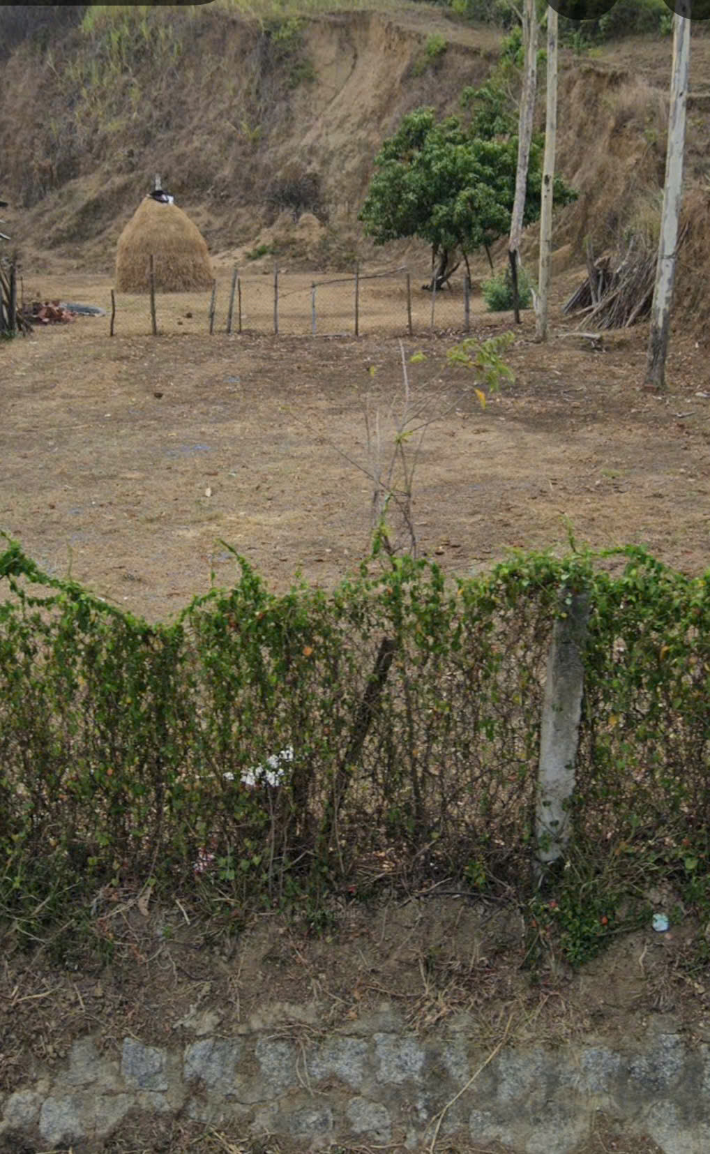 Xóm 4, Thượng Sơn, Bình Khê , Gia Lai
