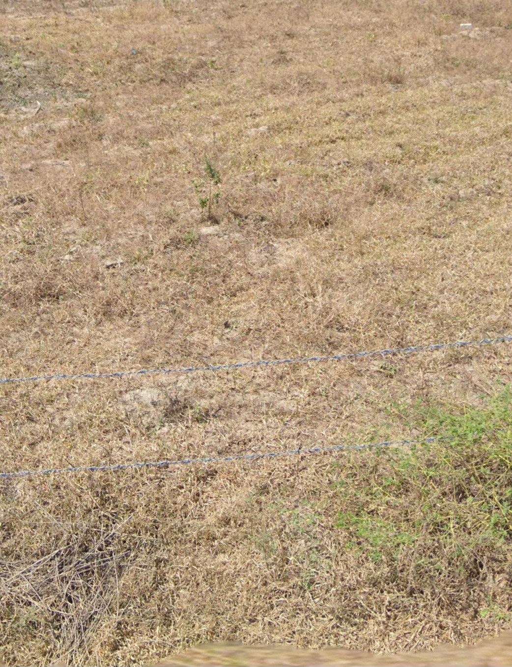 bán đất xóm 7, thượng giang 1, dt 300 m2