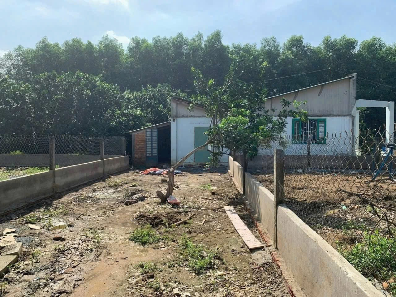 Bán Nhà Vườn Bình Lợi Vĩnh Cửu Diện tích : 1.186m. Giá : 2tỷ 8