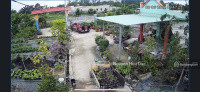 Bán đất 2164m² giá 17 tỷ Xã Bình Mỹ