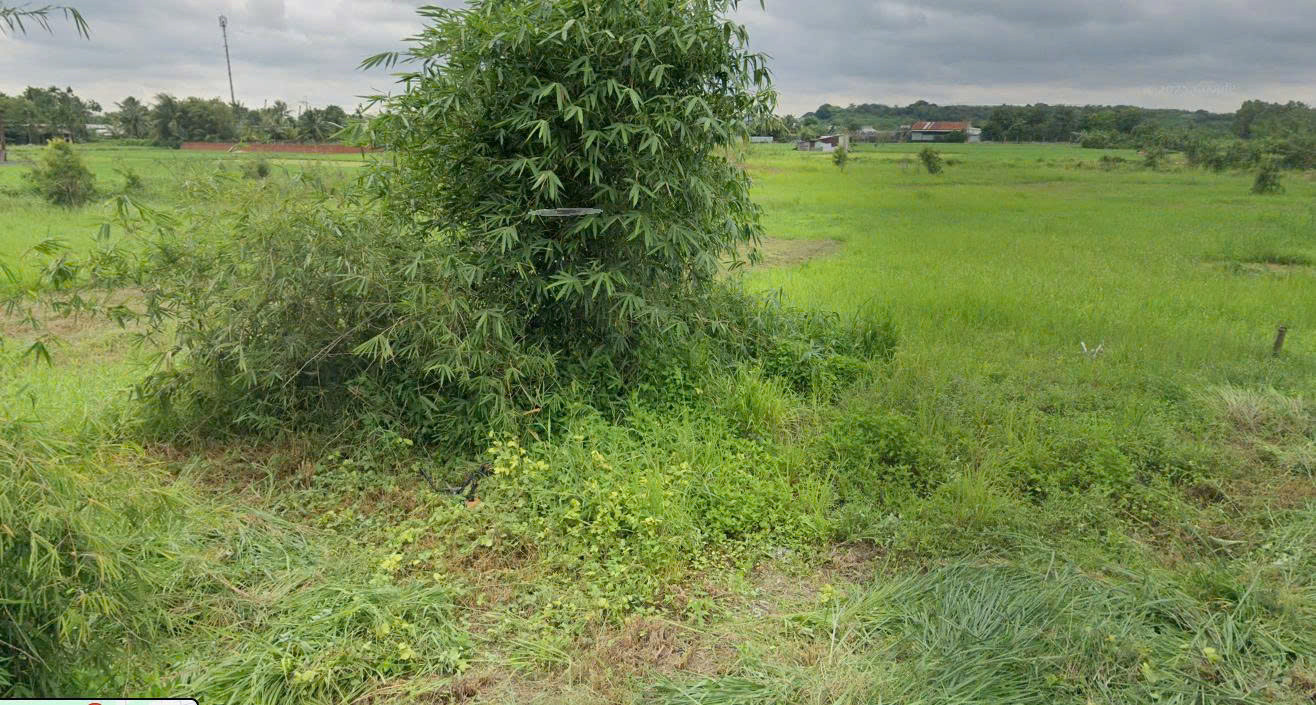 Bán đất 565m² có sẵn 300m² thổ cư ngang 21.9m giá 13.56 tỷ tại Xã Bình Mỹ