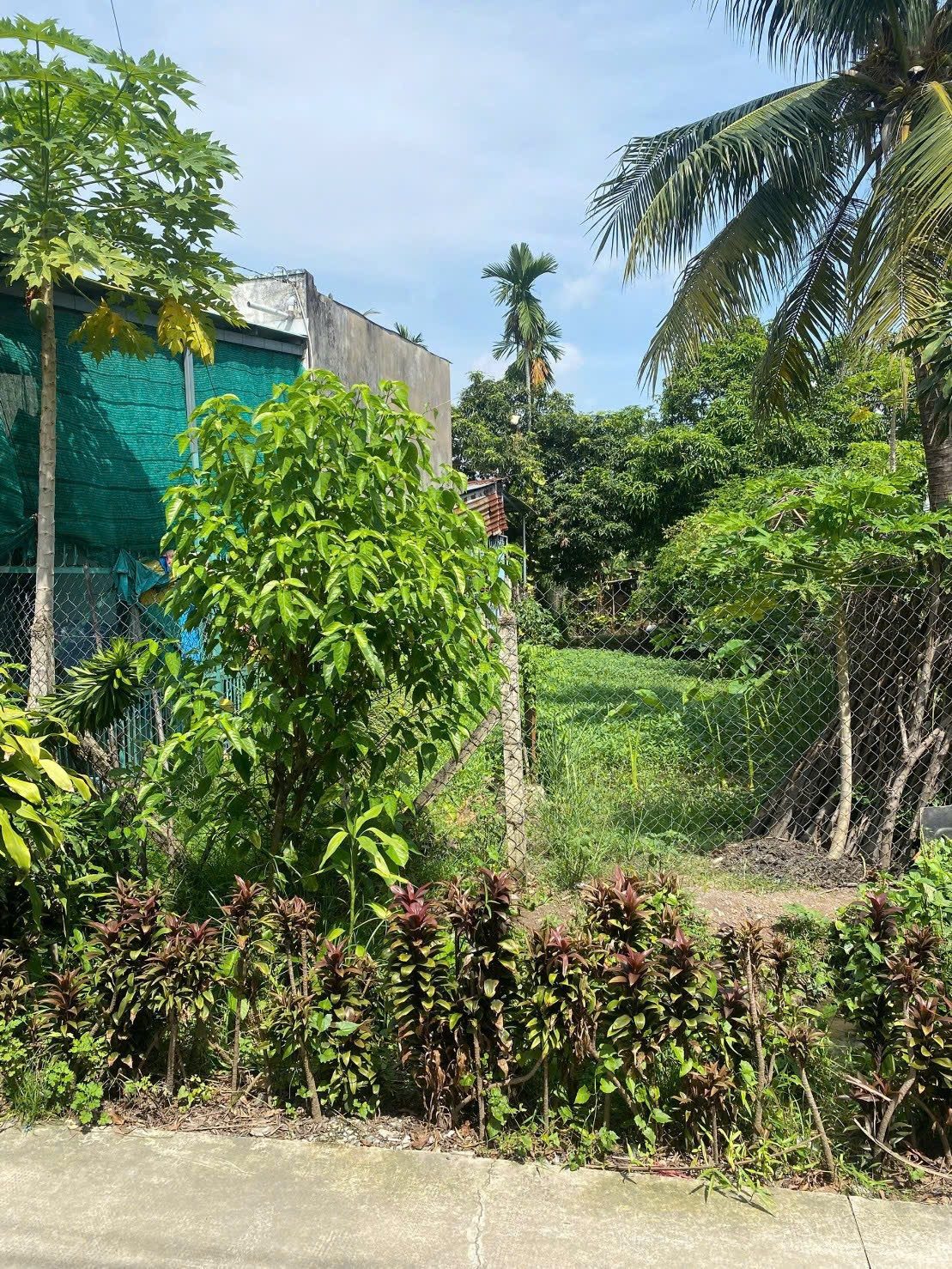 Bán Đất 204m2 có sẵn 200 m2 thổ cư giá 2 tỷ tại - Chọn - Xã Bình Mỹ Huyện Củ Chi TP. Hồ Chí Minh