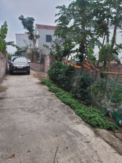 Bán đất 119m² ngang 5m Xã Bình Nguyên