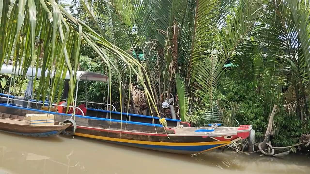 Đất vườn làm du lịch 6 công đang cho thuê 1 phần giồng Trôm bến tre.