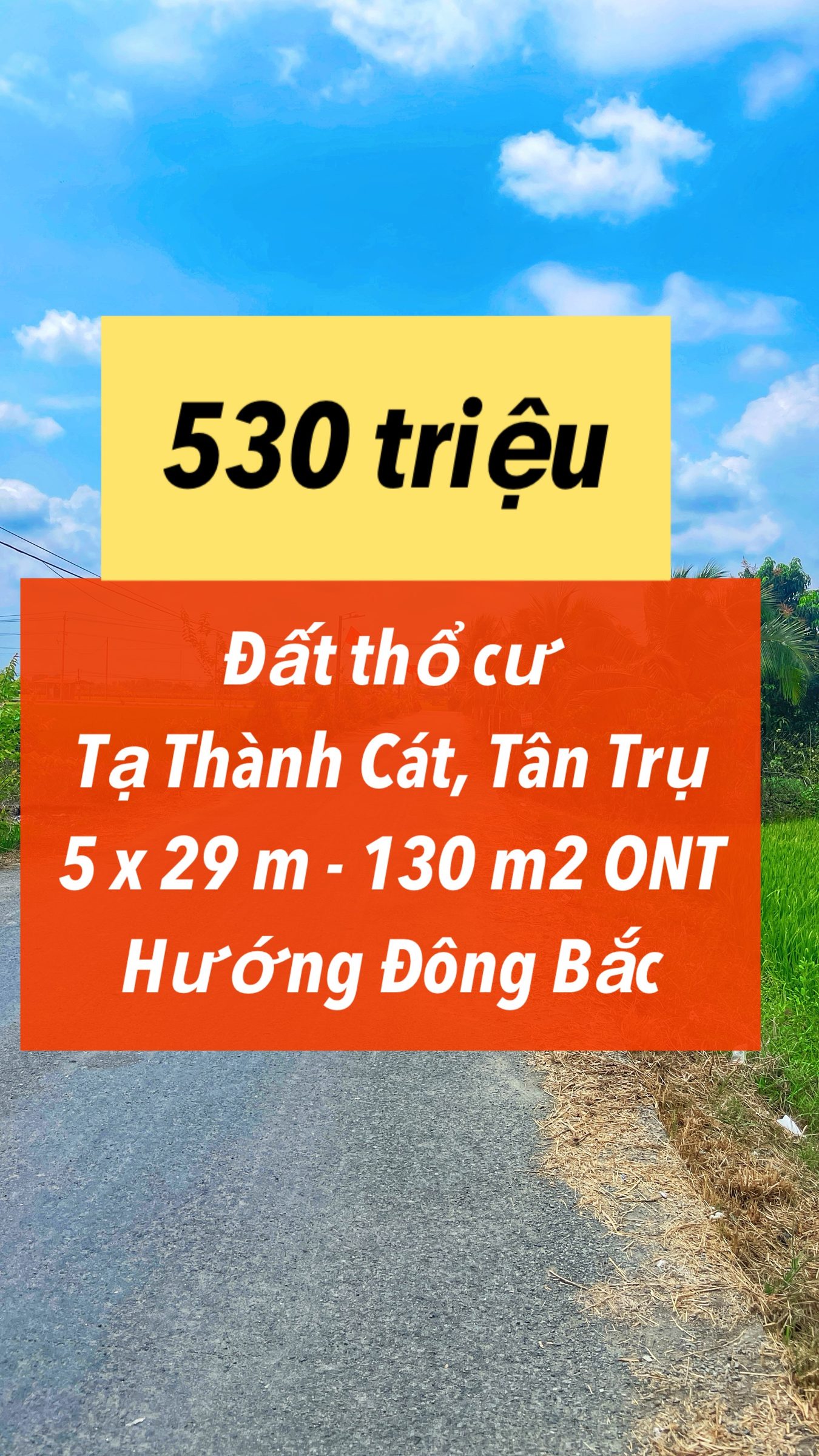 Đất thổ Tạ Thành Cát giá 530 triệu