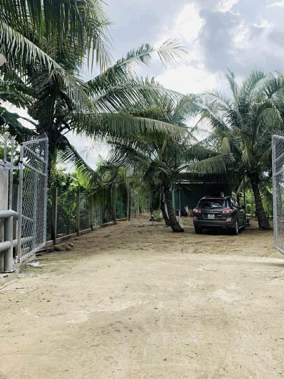 Bán đất 900m² có sẵn 500m² thổ cư ngang 15m giá 3 tỷ tại Xã Bình Trưng