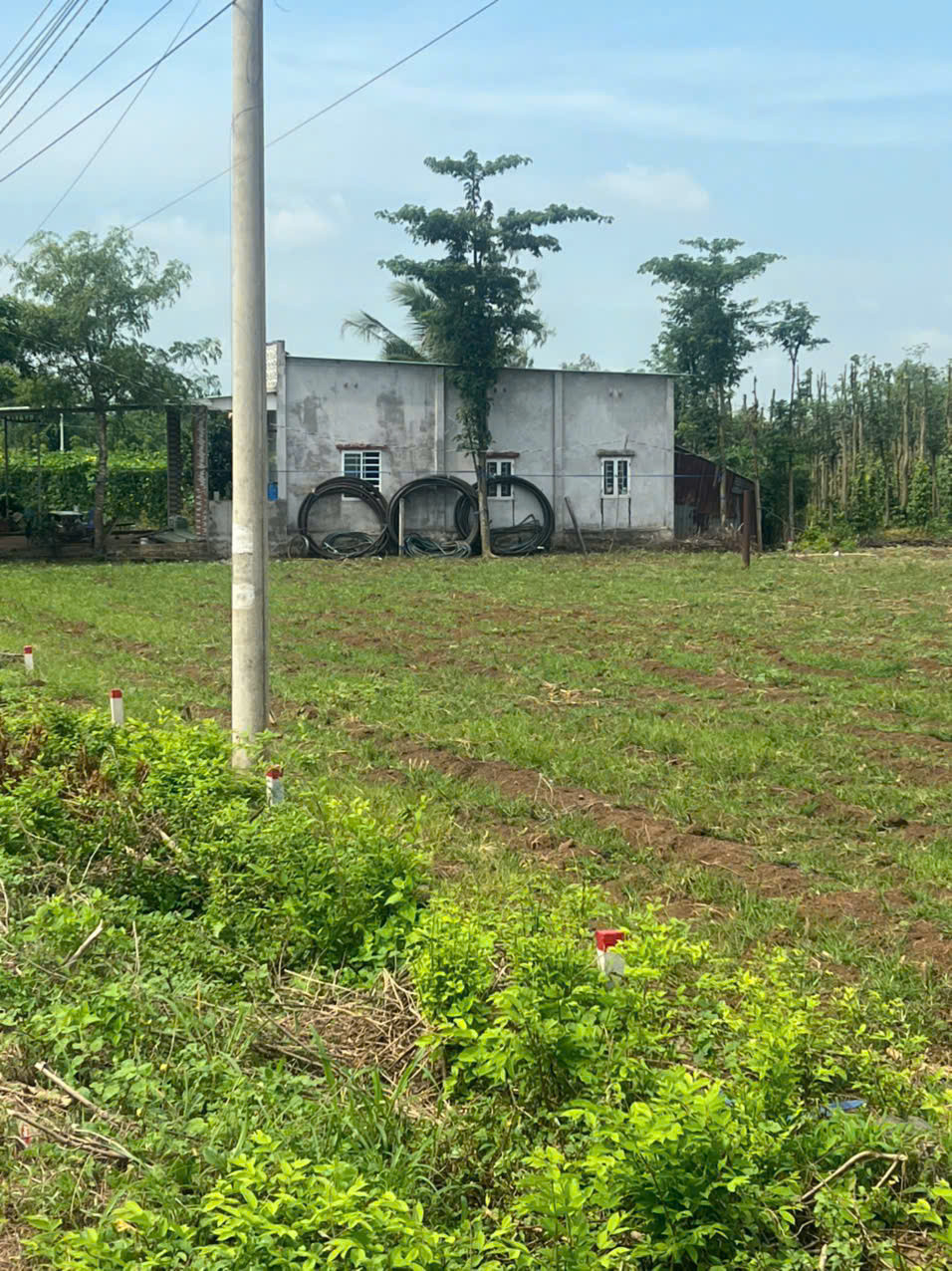 CUỐI NĂM CHỦ CẦN RA GẤP 2 LÔ Ở CHÂU ĐỨC_BÀ RỊA VŨNG TÀU _MẶT TIỀN ĐƯỜNG NHỰA, TIỆN ÍCH ĐẦY ĐỦ