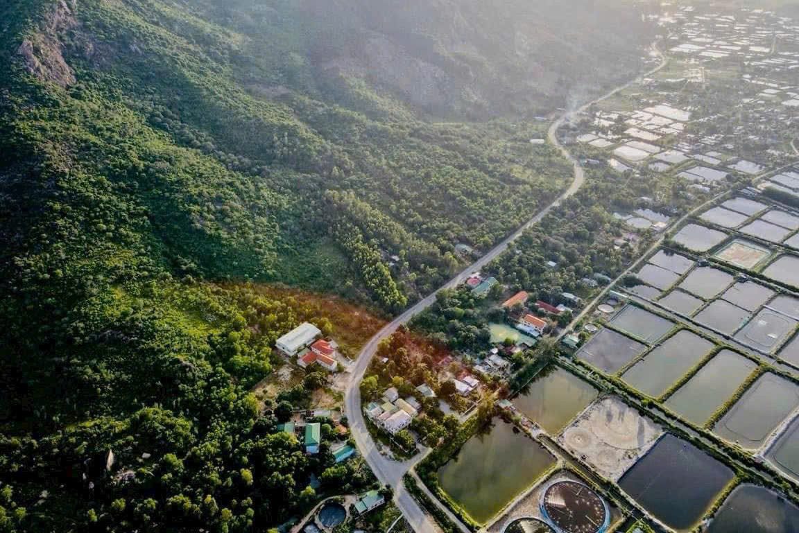 424m² Thổ Cư Cạnh Vin Cam Ranh Mặt Tiền 31,4m View Vịnh Cam Ranh Đường 30m Giá 125tr/m ngang