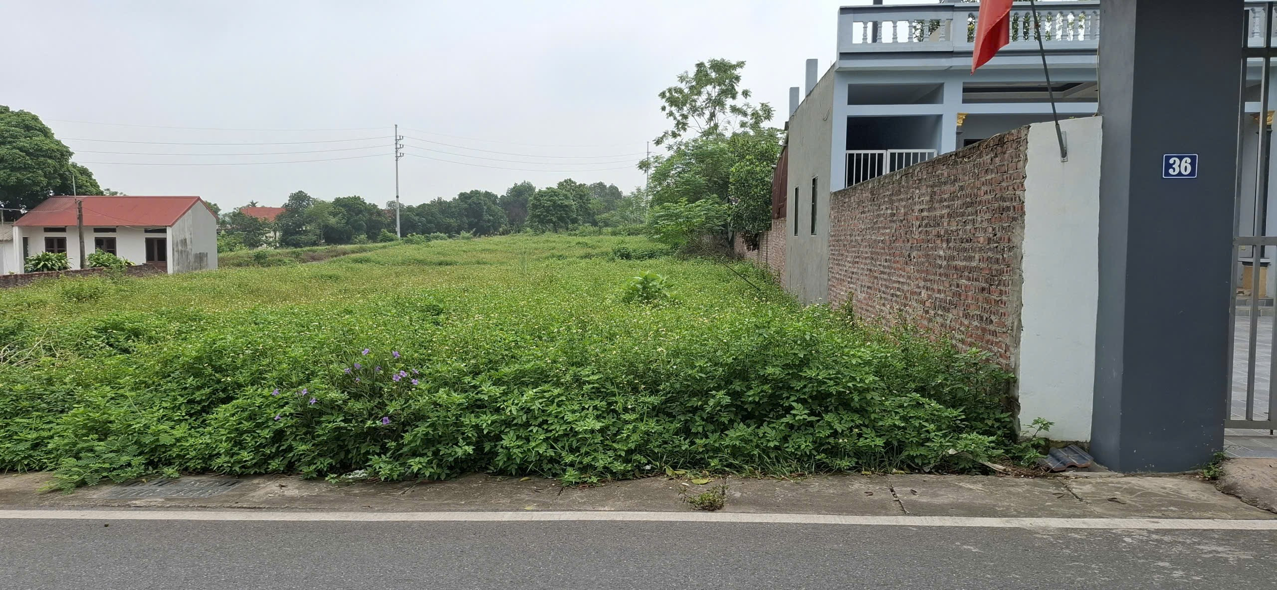 🏡 Chính chủ bán lô đất mặt đường liên xã tại thôn Tân Thành, Cẩm Lĩnh, Ba Vì, Hà Nội