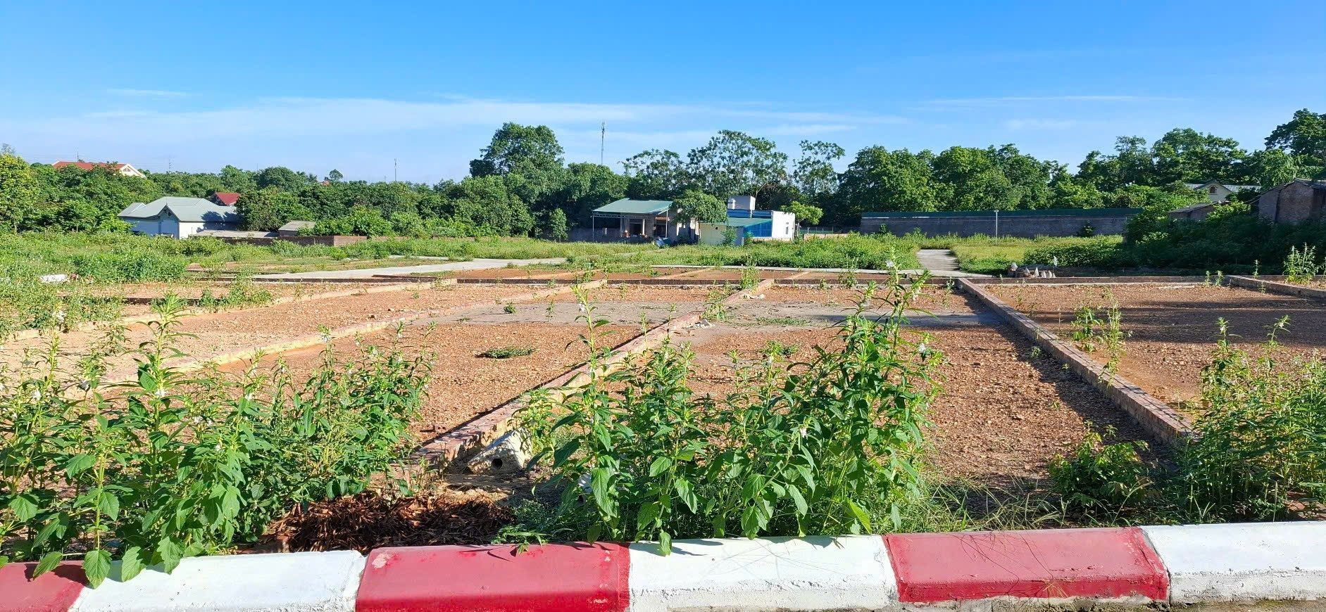 🏡 Bán lô đất tại Ngọc Nhị cách đường xe bus chỉ 30m