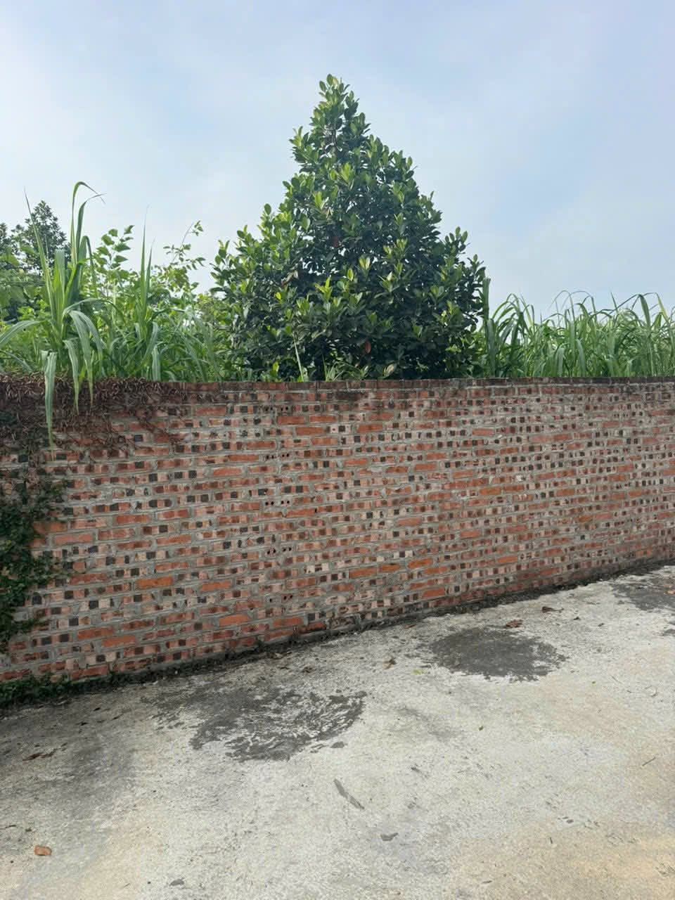 🏡 Chưa tới 2 tỷ có ngay lô đất 400m² (có 100m² đất ở) dân cắt bán
