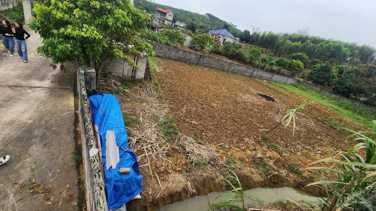 bán gấp mảnh đất cẩm lý lục nam bắc giang,