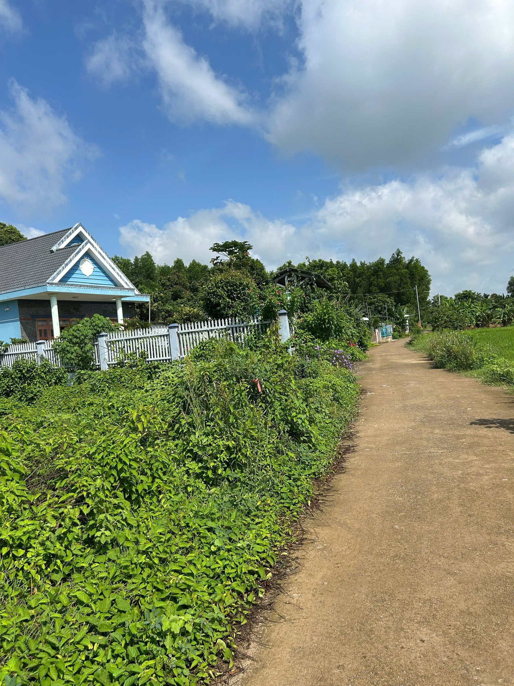 CHÍNH CHỦ CẦN BÁN ĐẤT CHÂU PHA - PHÚ MỸ (BR-VT)- Sát KCN Sonadezi