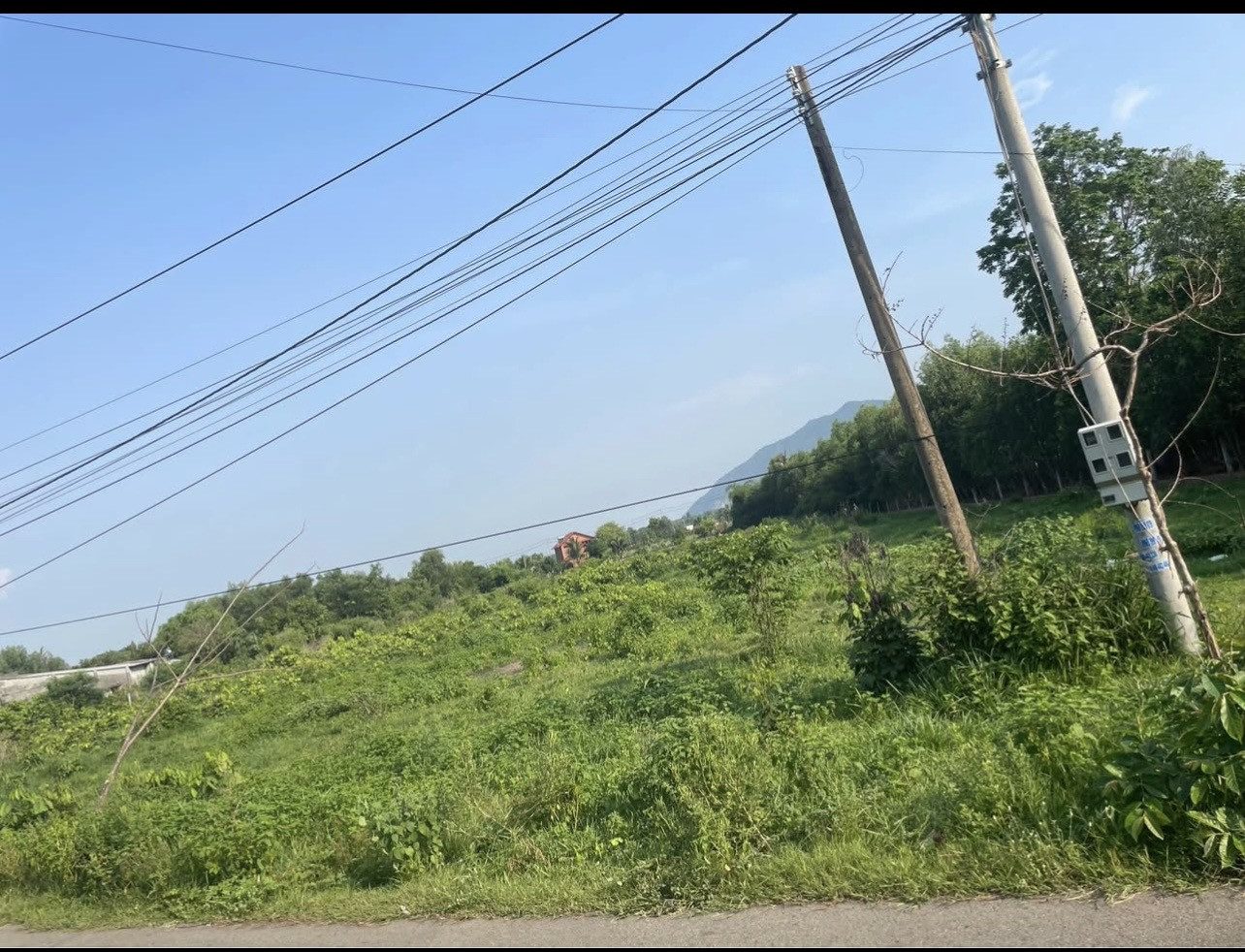 Xã Châu Pha Tx Phú Mỹ. S: 10.201 m2 có 300tc