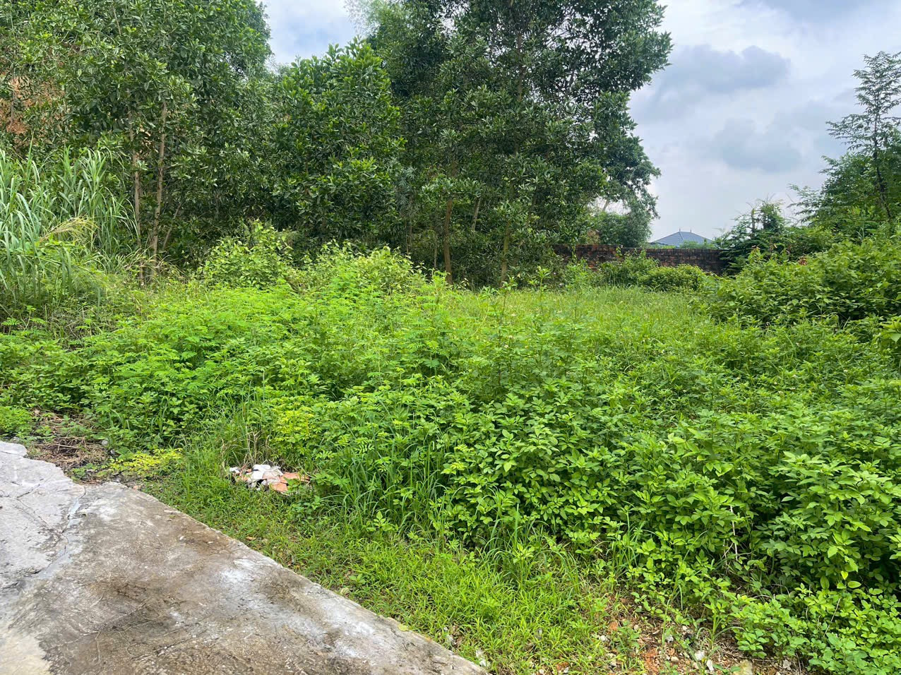 Bán Đất 587m2 tại Chính Mỹ , ngõ morrning cách đường thông chỉ có 20 m.l/h:076.231.9990 e Thúy