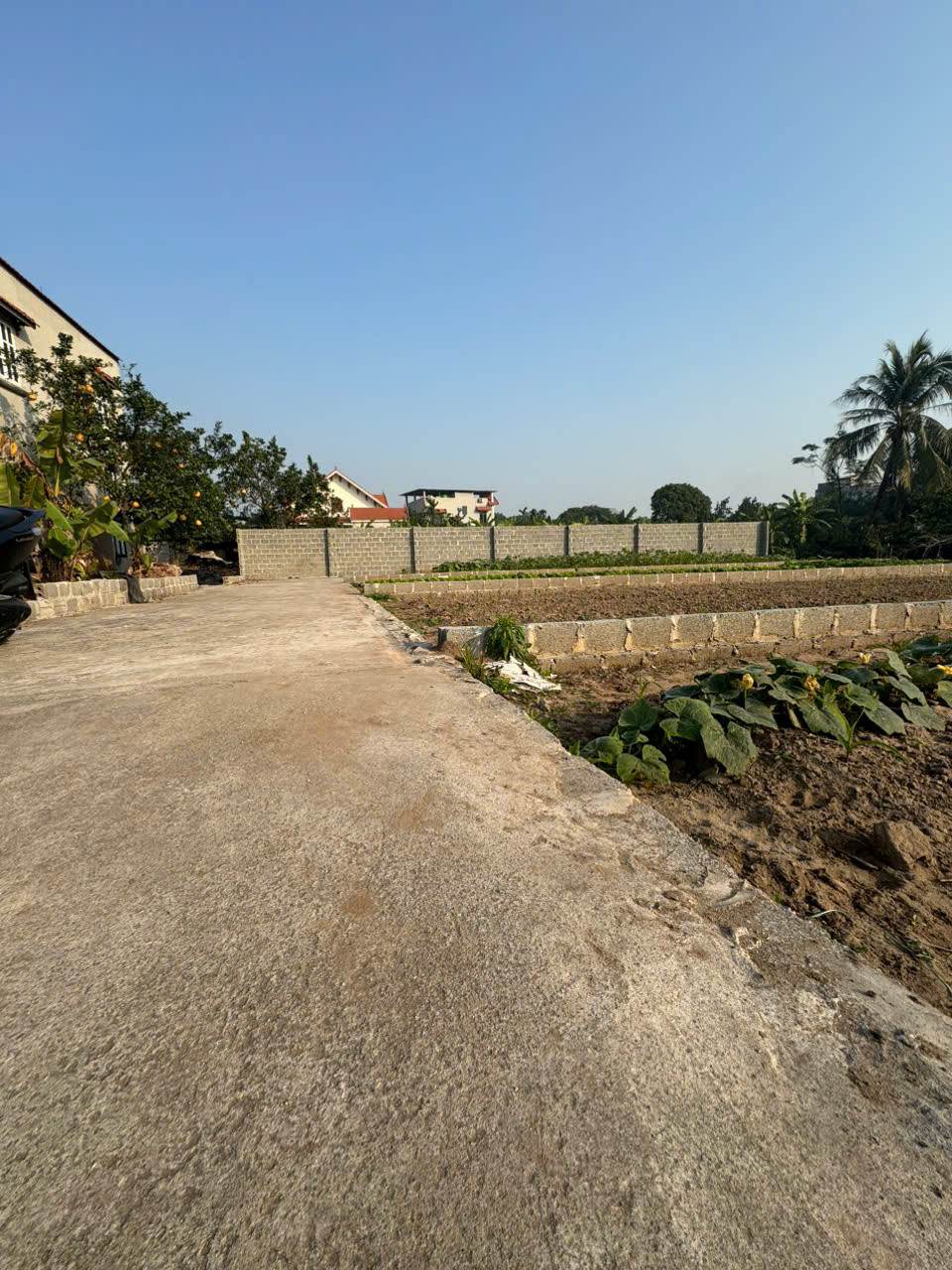 🔥 MT >5M – 83,3M² – CÁCH TRỤC CHÍNH 100M – GIÁ 3xTR/M | CHƯƠNG DƯƠNG🔥