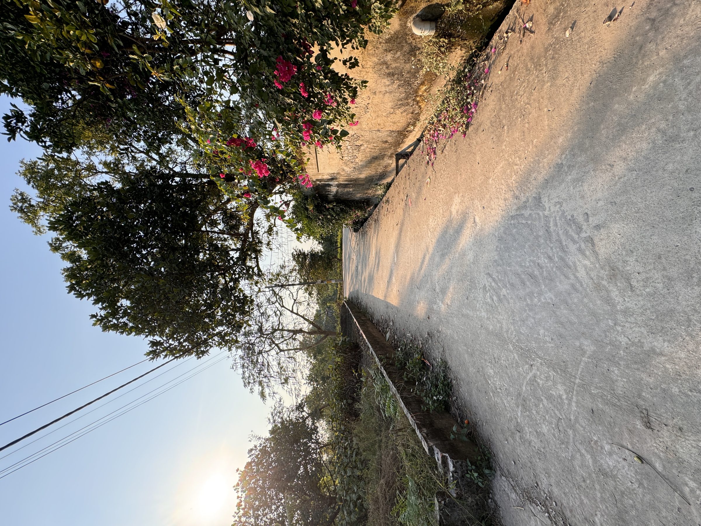 Cần tiền bán gấp