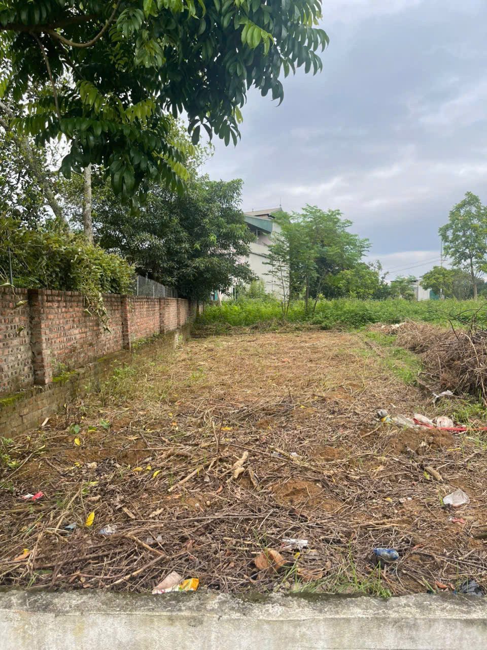 BÁN LÔ ĐẤT 100M² MẶT ĐƯỜNG  – VỊ TRÍ ĐẸP, ĐẦU TƯ SINH LỜI