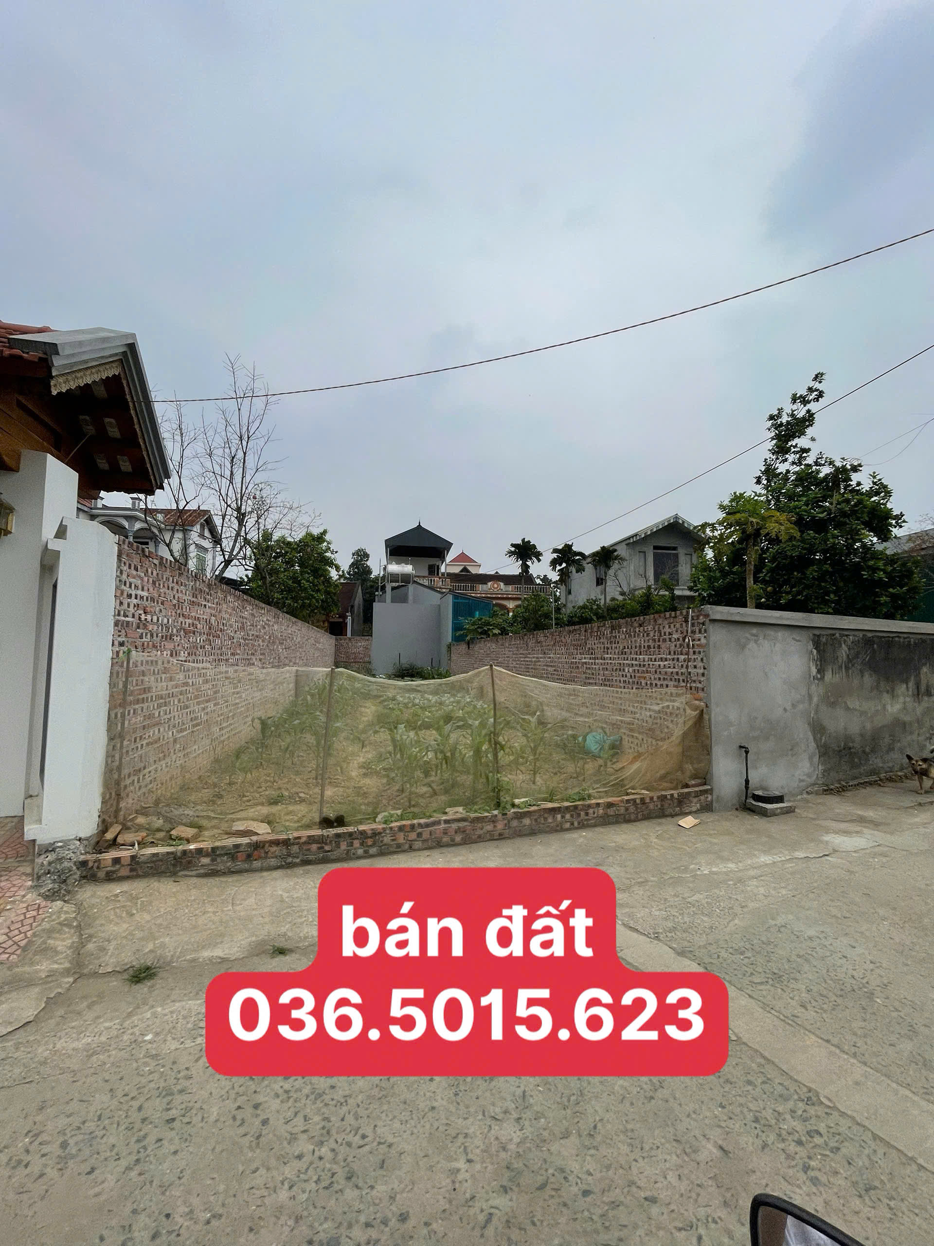 CHÍNH CHỦ CẮT LỖ 300TR BÁN NHANH MẢNH ĐẤT HƠN 100M2 GIÁ 3ty