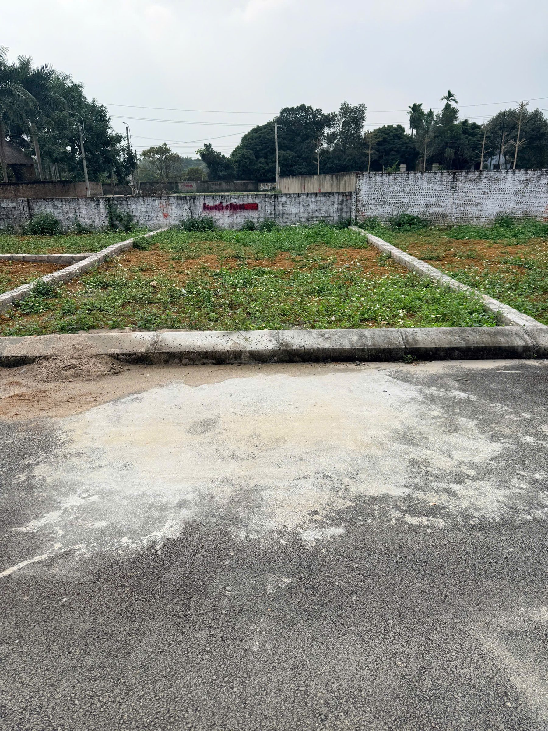 BÁN ĐẤT CỔ ĐÔNG – FULL THỔ CƯ – DIỆN TÍCH 100m²