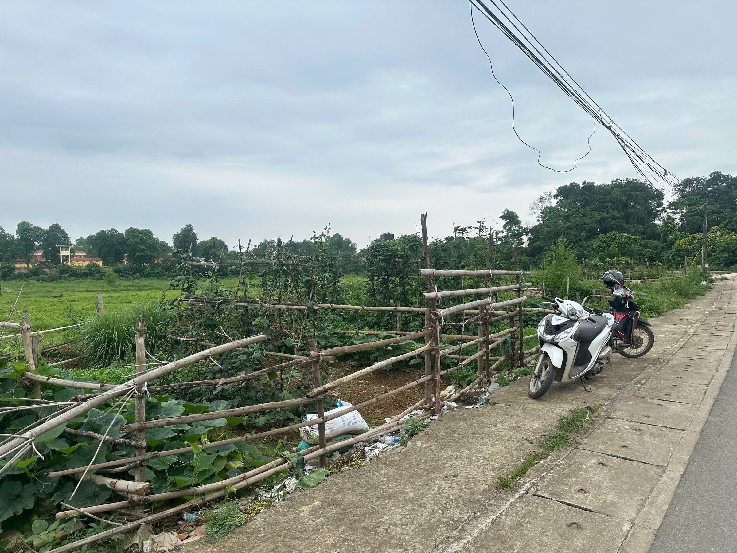 Chính Chủ em bán mảnh đất 100m full thổ trục chính đường Cổ Đông