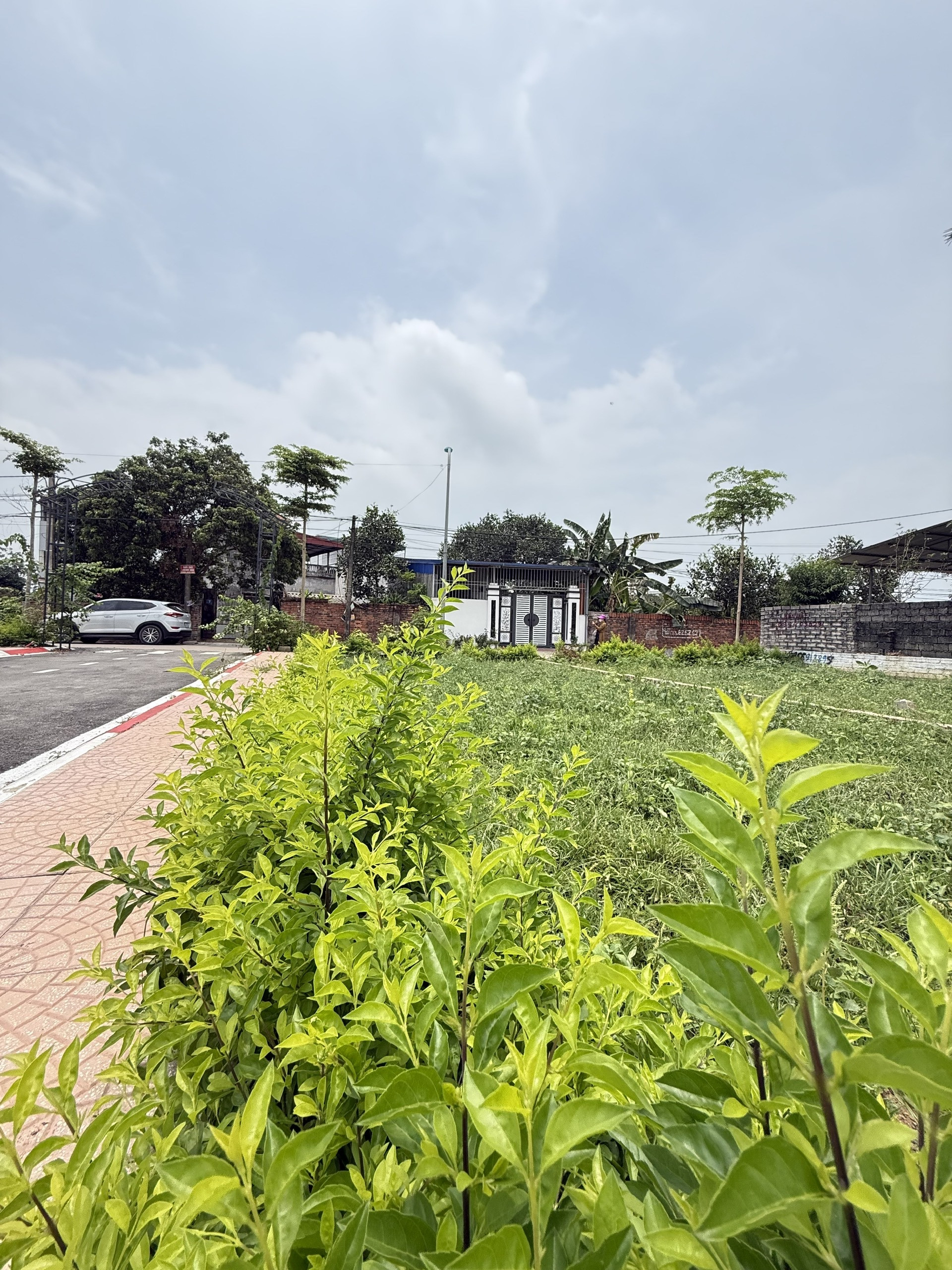 100m Trục chính Trại Hồ, 400m ra trường Lục Quân, 30tr/m