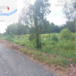BÁN ĐẤT DT LỚN BÌNH MỸ,CỦ CHI,TP.HCM