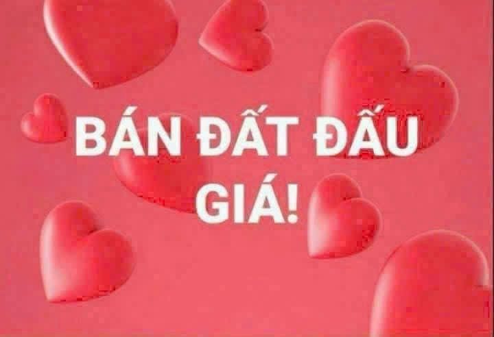 Bán Duy nhất 01 lô Đấu giá Cự Đà - Bình Minh Vị trí đẹp Nằm trong KĐT Vin Olympic khu A, và sát ngay KĐT Thanh Hà.