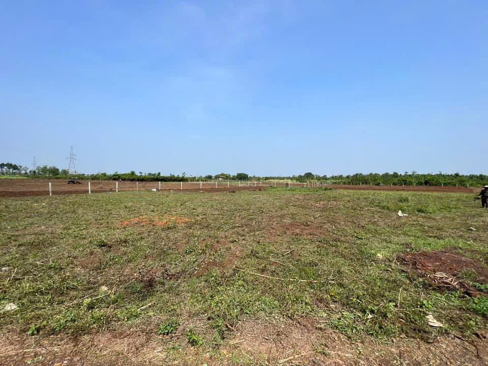 Bán đất 5000m² ngang 130m giá 1.05 tỷ tại Xã Cư M'gar Huyện Cư M'gar