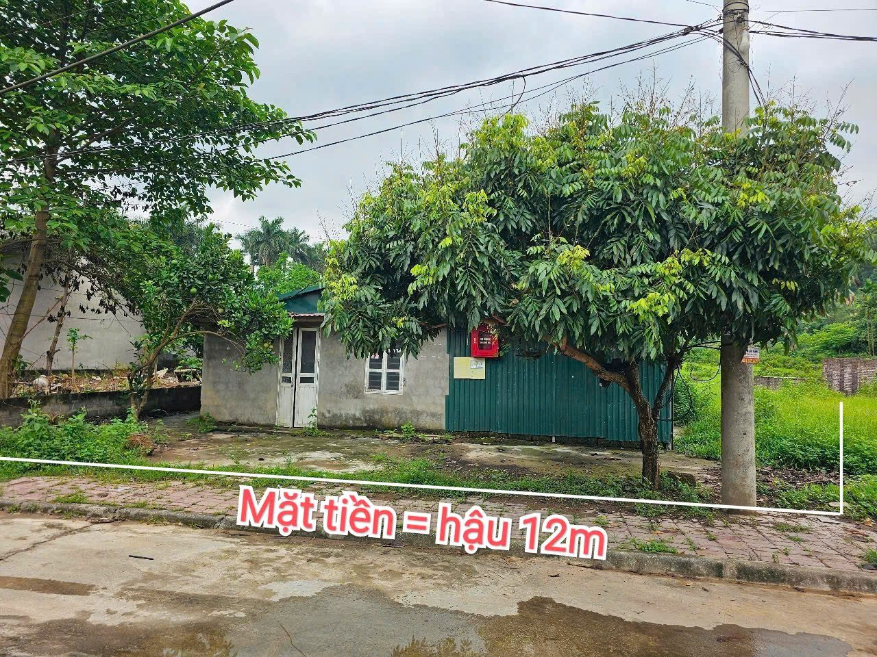 318.1m full thổ cư - mặt tiền 12m - đường thông, gần dự án nghỉ dưỡng