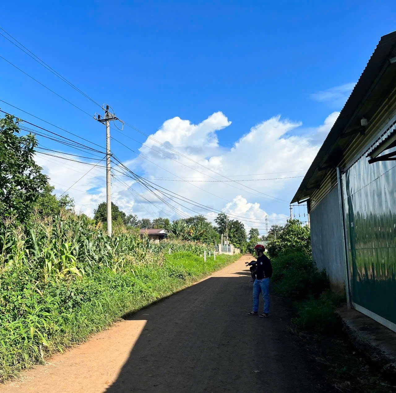 Bán đất 199.8m² giá 1ty2 Xã Cuôr Đăng