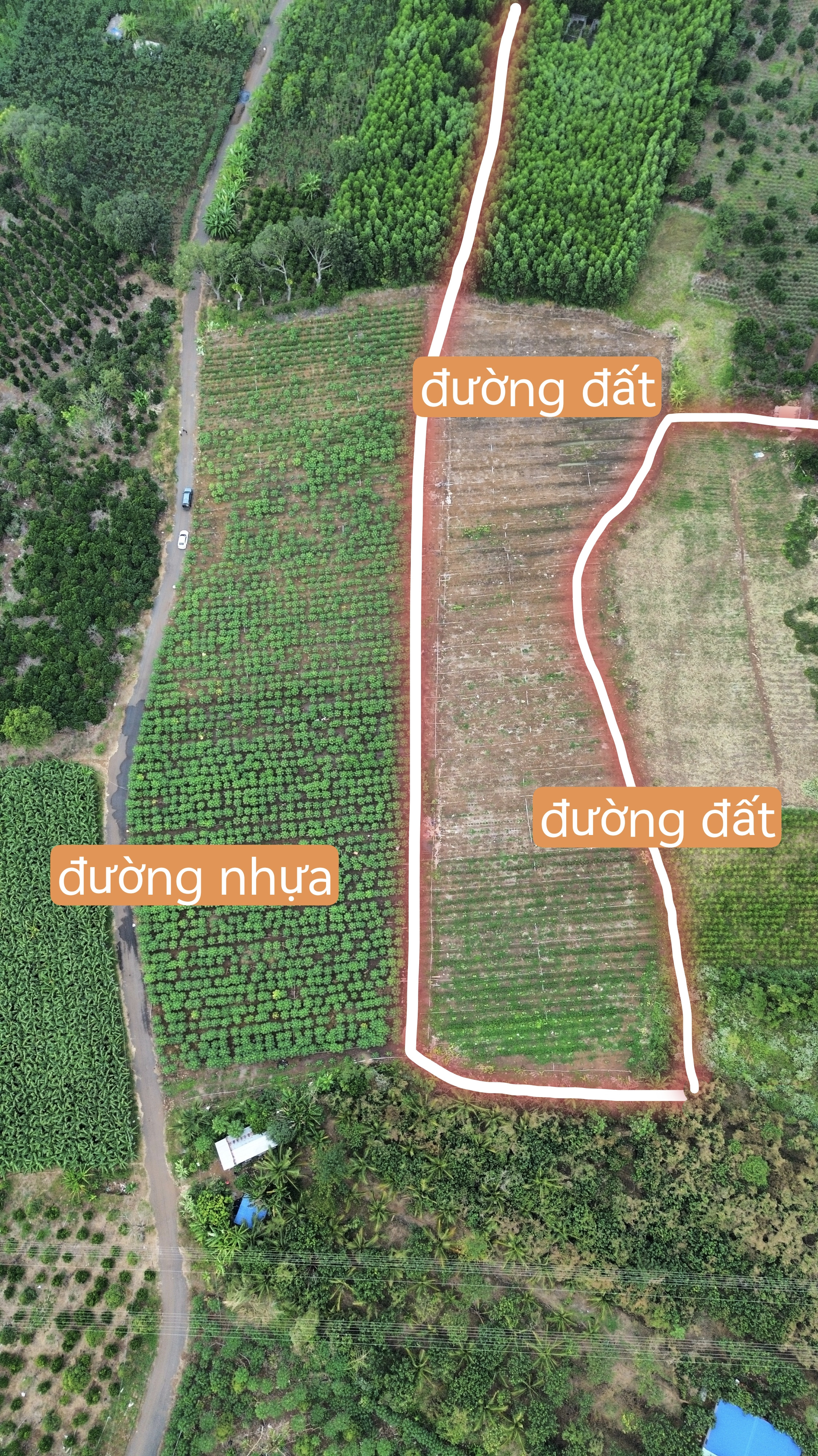 230m mặt tiền nhựa, 200m mặt tiền đường đất.
