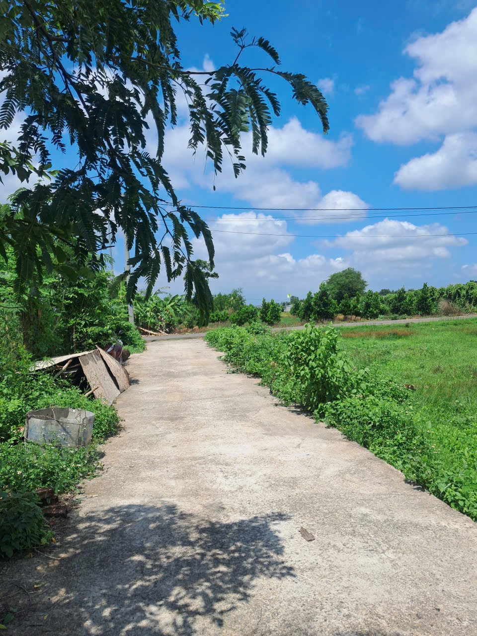 6x28 80tc đá bạc giá 850 triệu