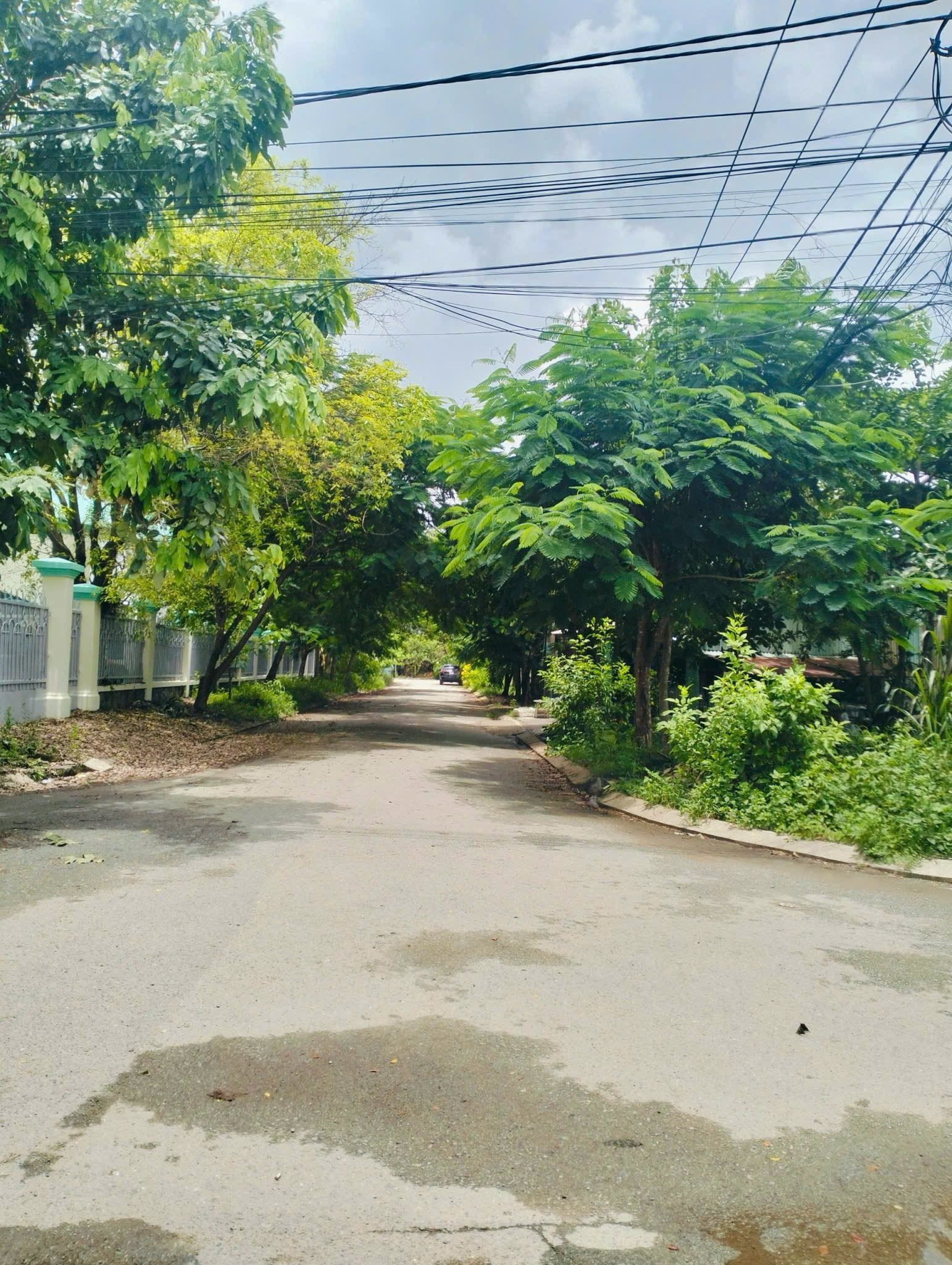 Bán lô đất vườn 9500m xã đa phước bình chánh