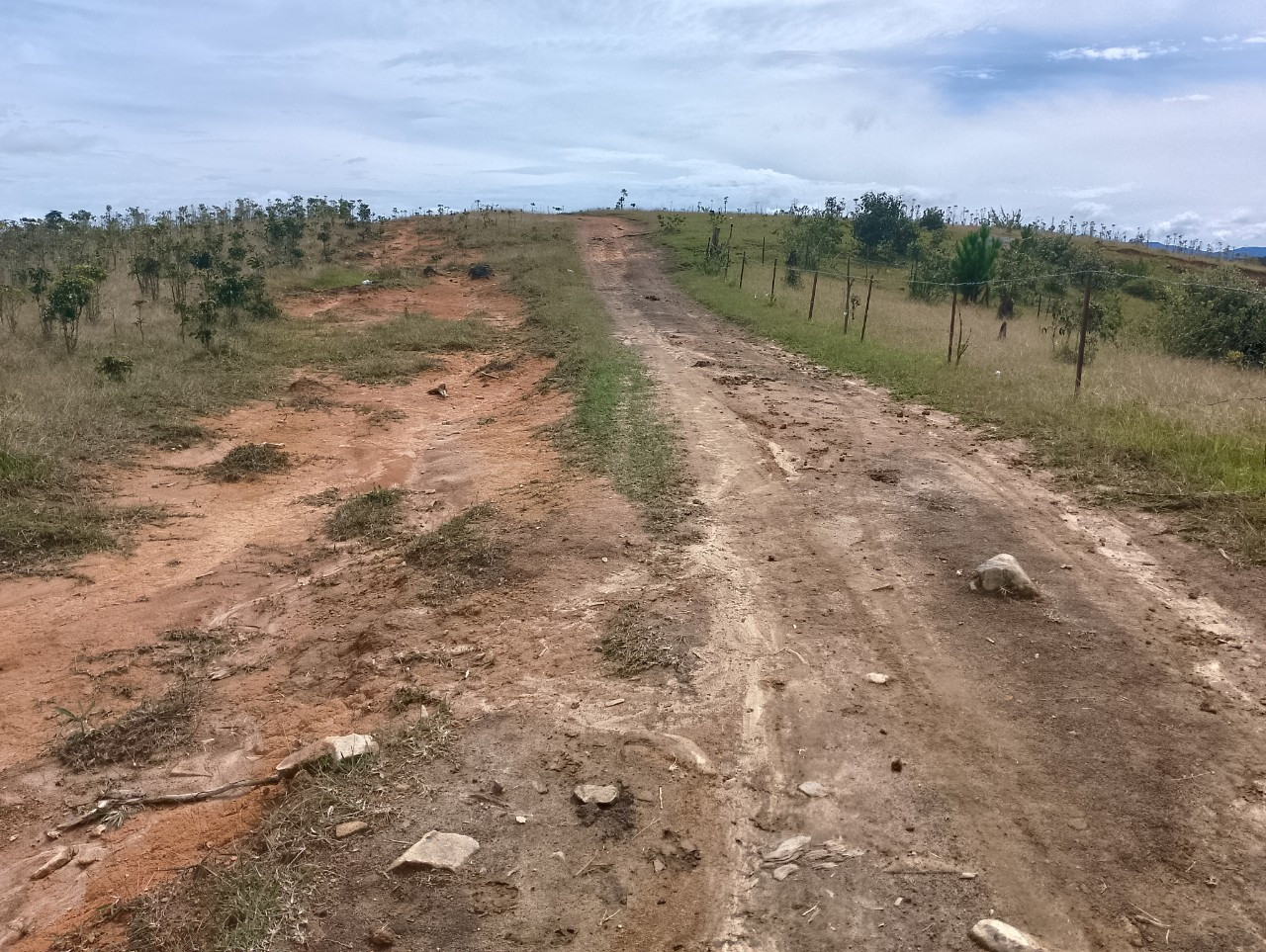 Bán  đất nông nghiệp 5000m² , giá 1.8 tỷ tại, Xã Đạ Sar, Huyện Lạc Dương, Lâm Đồng