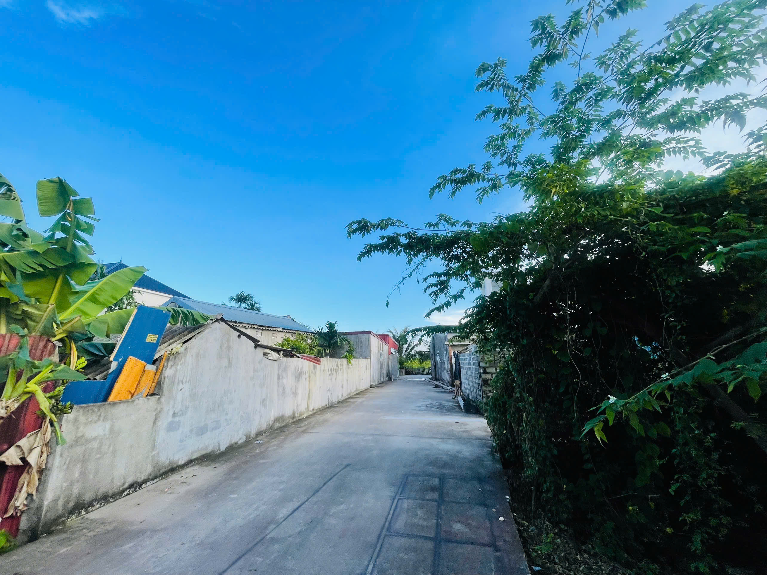 3KM108 🔥 LÔ GÓC DÂN ĐẸP PHONG CẨU 2 - ĐẠI ĐỒNG - KIẾN MINH 🔥