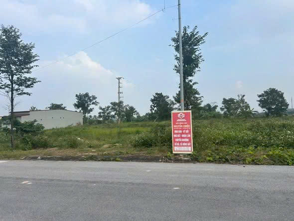 Ra hàng lô đẹp hiếm – View sông siêu thoáng, rẻ nhất phân khu