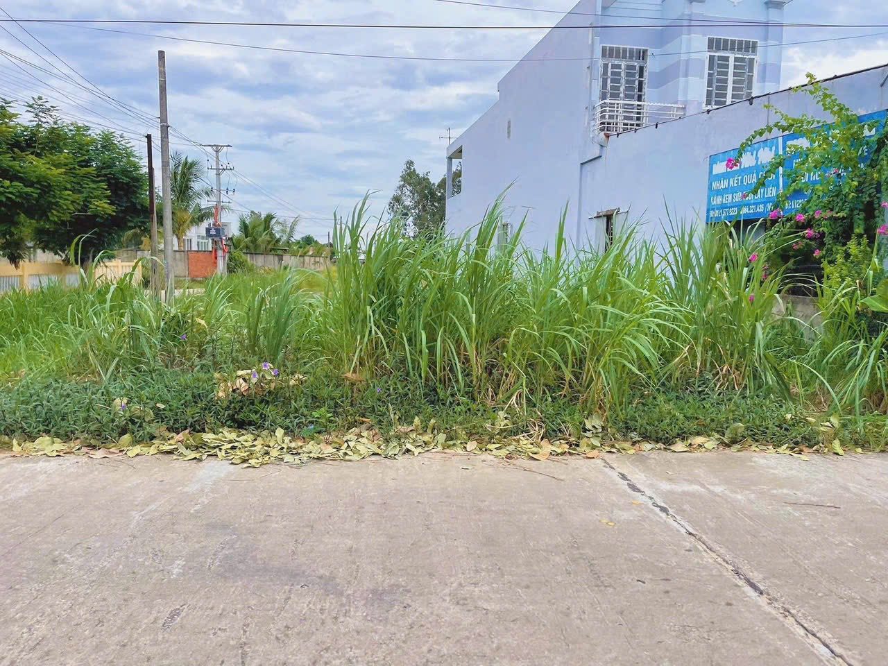 Bán Đất 100m² thổ cư 100m² giá 1.16 tỷ tại Xã Đại Lộc Đà Nẵng