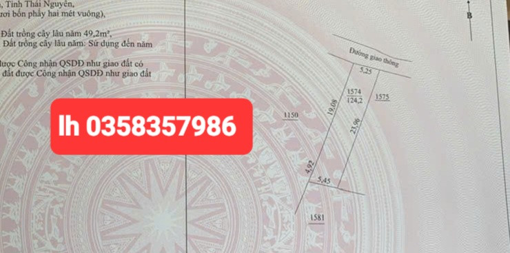 Bán đất 124.2m² ngang 5.45m giá 810 triệu Xã Đại Phúc