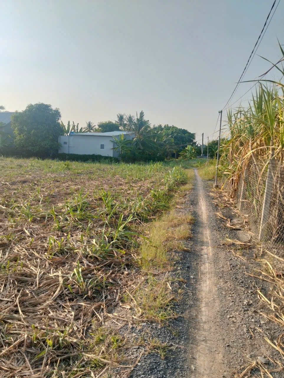 Bán đất 1000m² ngang 25m giá 1 tỷ tại Xã Đại Phước