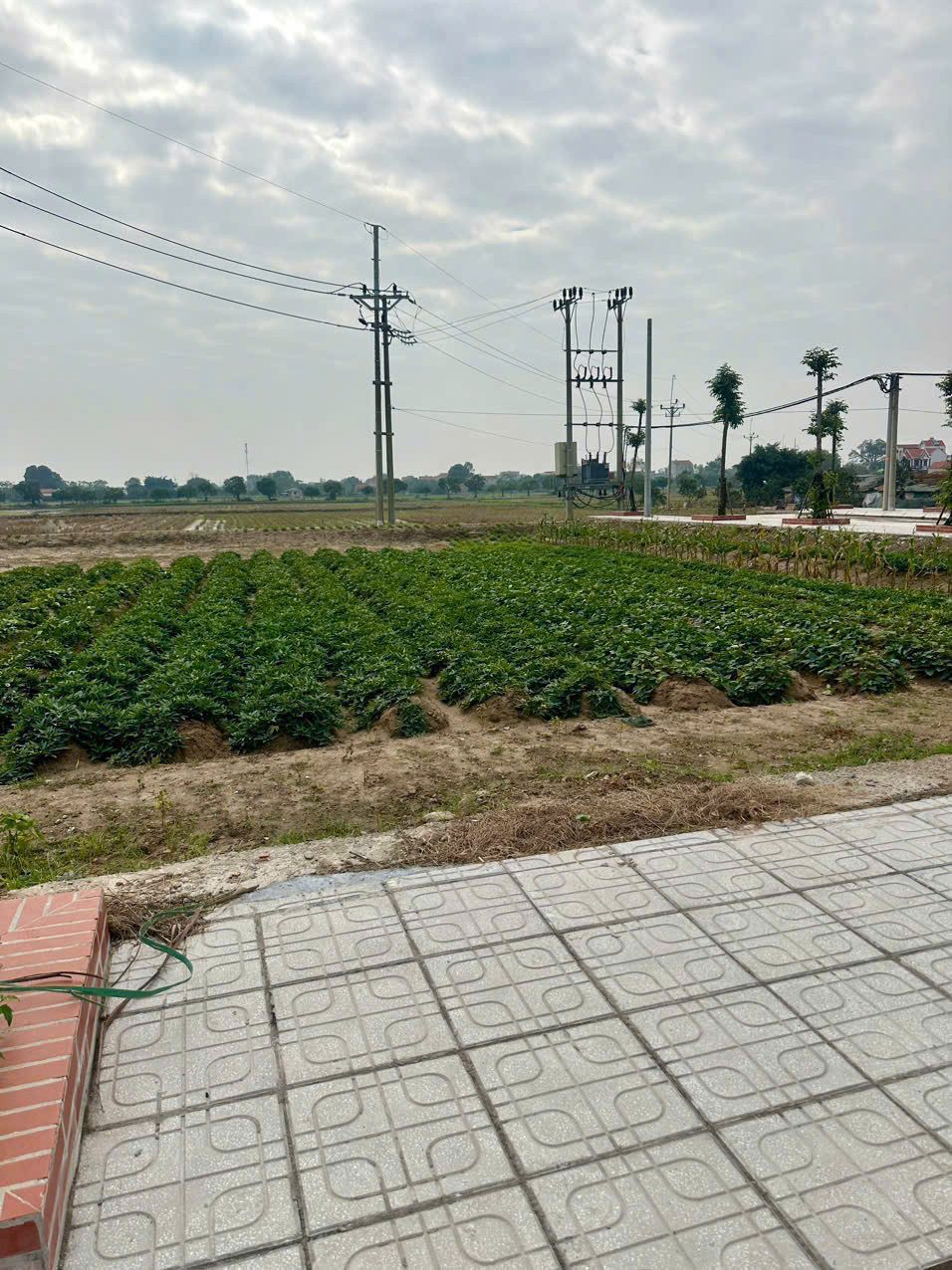 Bán đất đấu giá Cống Đầm Mai Trang trước đất rộng cực đẹp, Đại Xuyên Phú Xuyên