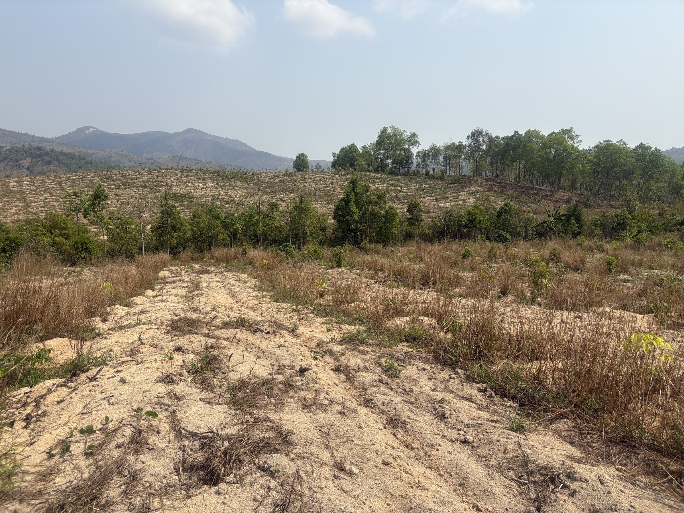 💥 10ha Đất rẫy Ia Khươl - Chư Păh - db